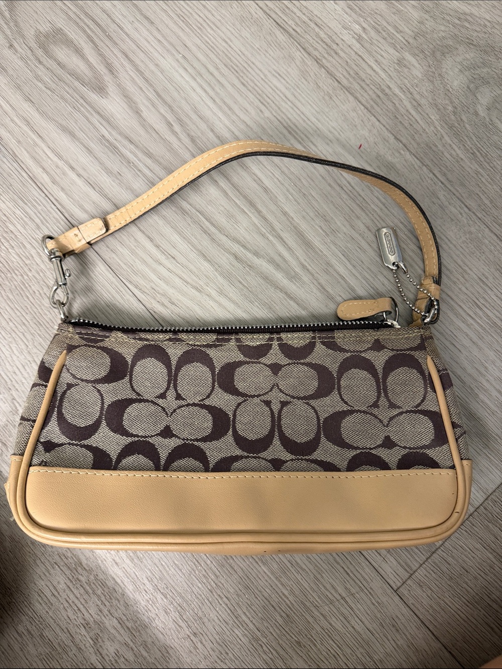 Coach signature Demi pouch
